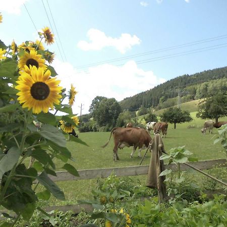 Urlaub Auf Dem Haenslehof Διαμέρισμα Elzach Εξωτερικό φωτογραφία