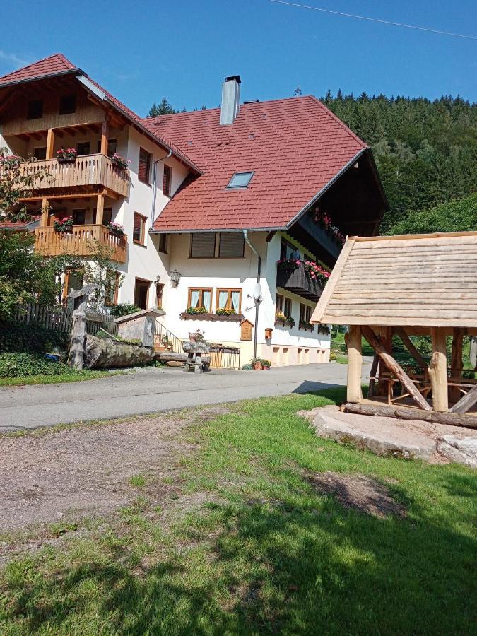 Urlaub Auf Dem Haenslehof Διαμέρισμα Elzach Εξωτερικό φωτογραφία