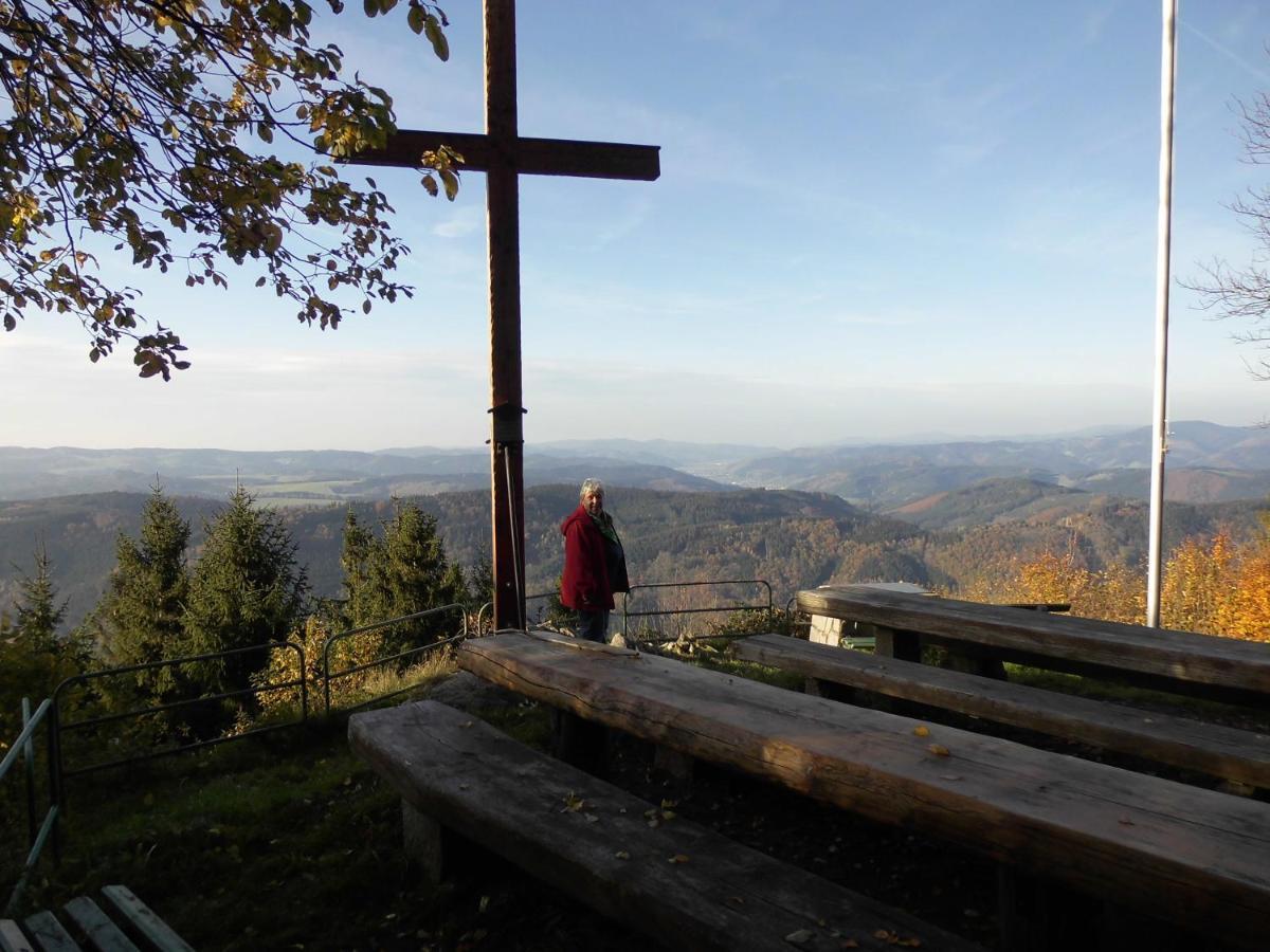 Urlaub Auf Dem Haenslehof Διαμέρισμα Elzach Εξωτερικό φωτογραφία