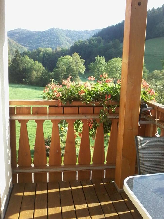 Urlaub Auf Dem Haenslehof Διαμέρισμα Elzach Εξωτερικό φωτογραφία