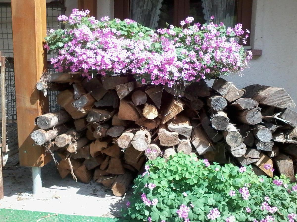Urlaub Auf Dem Haenslehof Διαμέρισμα Elzach Εξωτερικό φωτογραφία