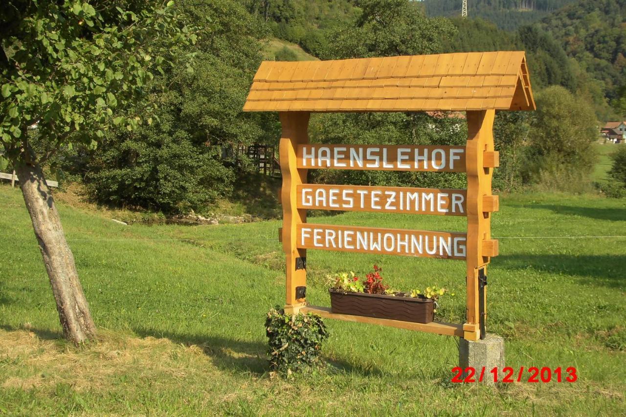 Urlaub Auf Dem Haenslehof Διαμέρισμα Elzach Εξωτερικό φωτογραφία