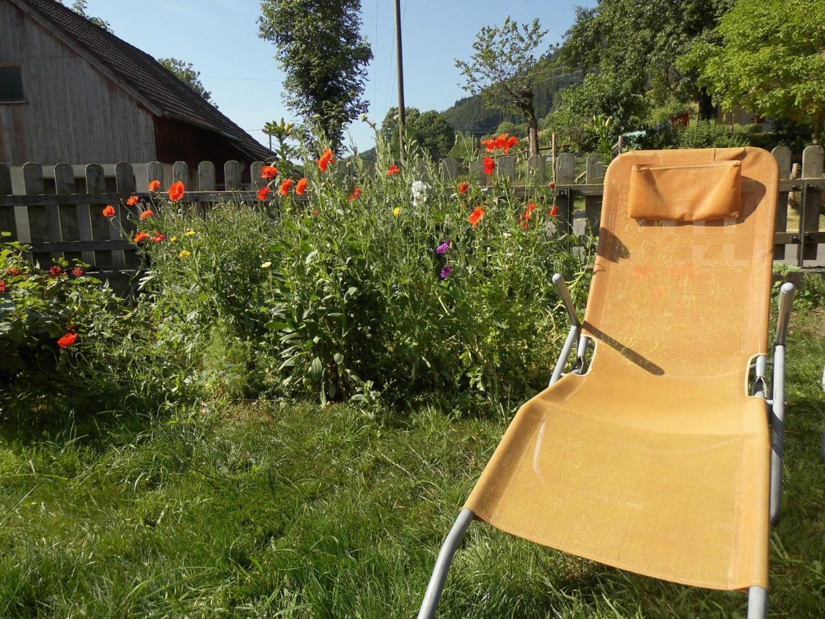 Urlaub Auf Dem Haenslehof Διαμέρισμα Elzach Εξωτερικό φωτογραφία