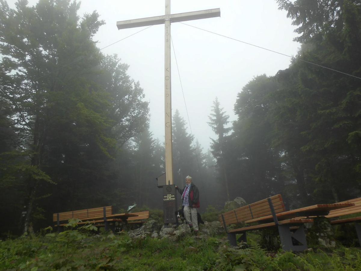 Urlaub Auf Dem Haenslehof Διαμέρισμα Elzach Εξωτερικό φωτογραφία