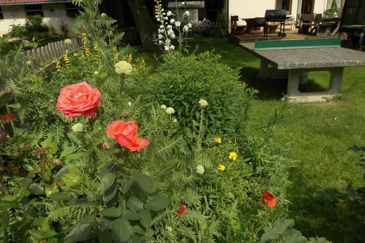 Urlaub Auf Dem Haenslehof Διαμέρισμα Elzach Εξωτερικό φωτογραφία