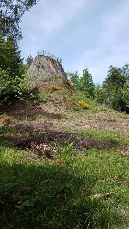 Urlaub Auf Dem Haenslehof Διαμέρισμα Elzach Εξωτερικό φωτογραφία