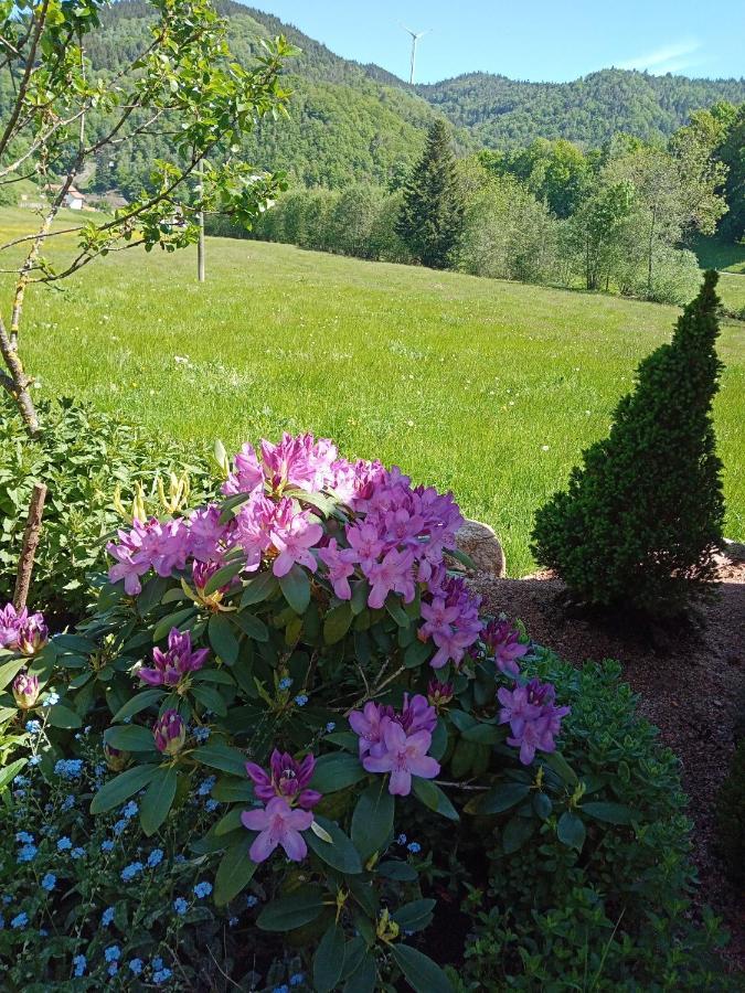 Urlaub Auf Dem Haenslehof Διαμέρισμα Elzach Εξωτερικό φωτογραφία