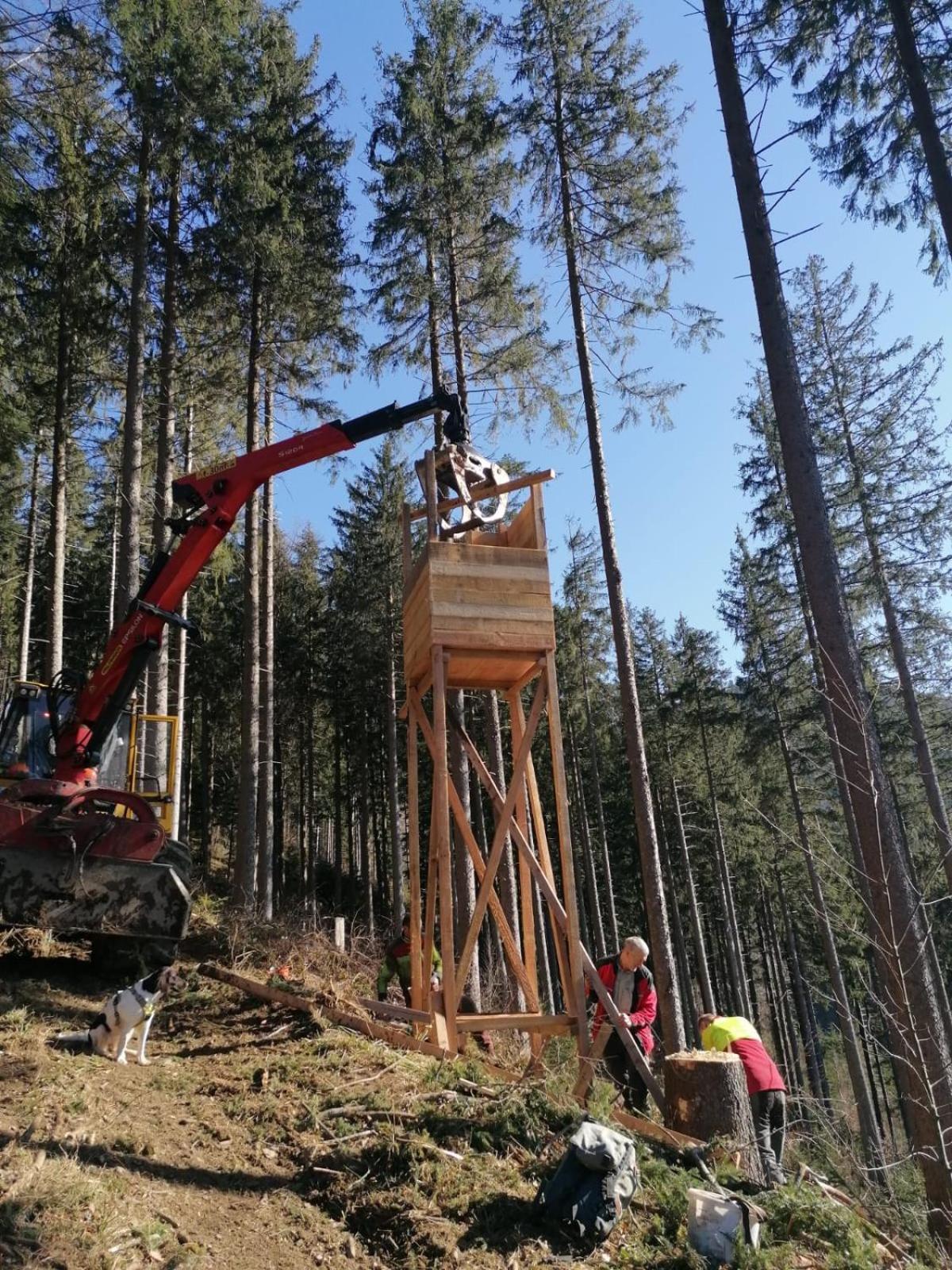 Urlaub Auf Dem Haenslehof Διαμέρισμα Elzach Εξωτερικό φωτογραφία