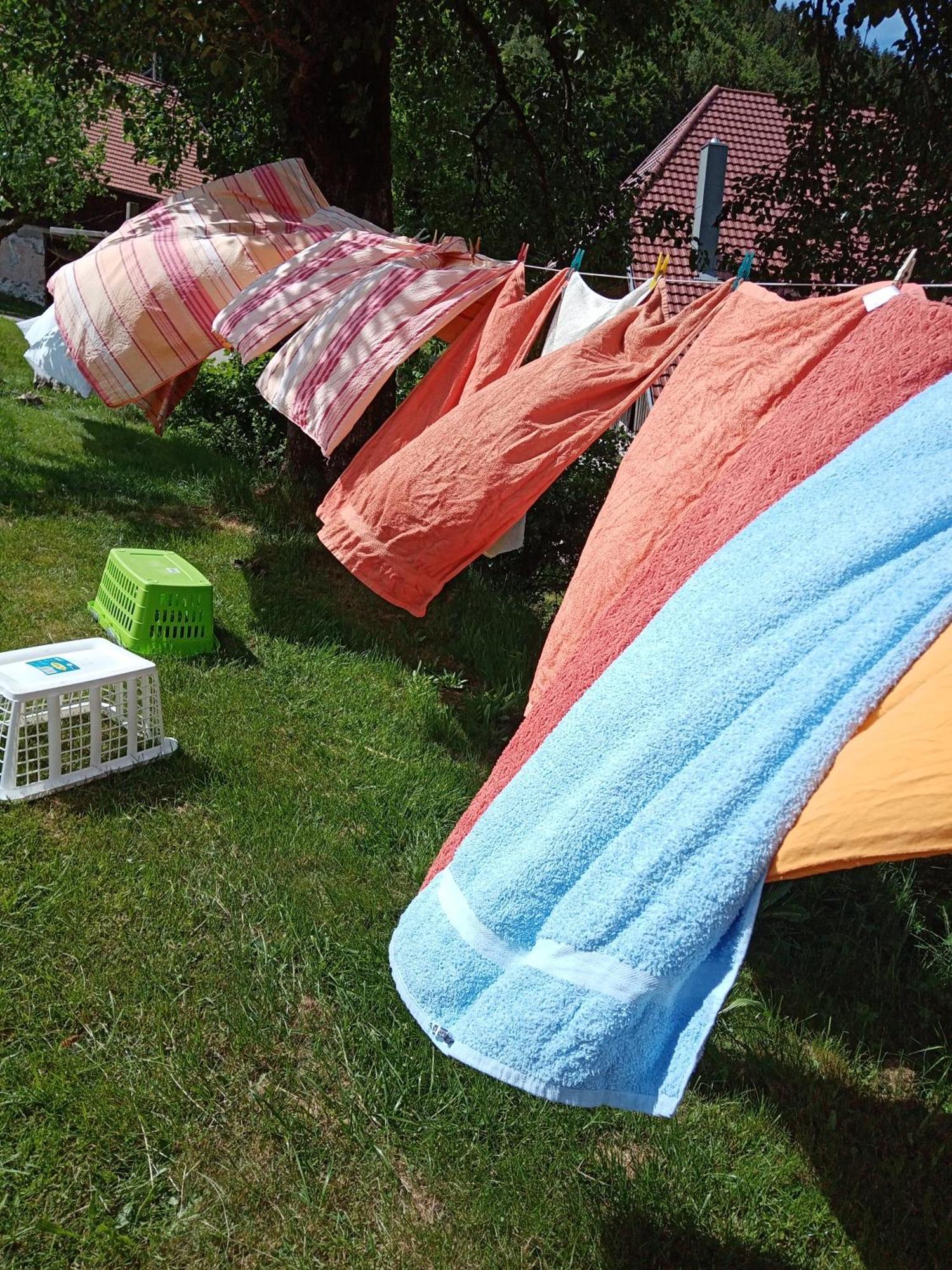 Urlaub Auf Dem Haenslehof Διαμέρισμα Elzach Εξωτερικό φωτογραφία