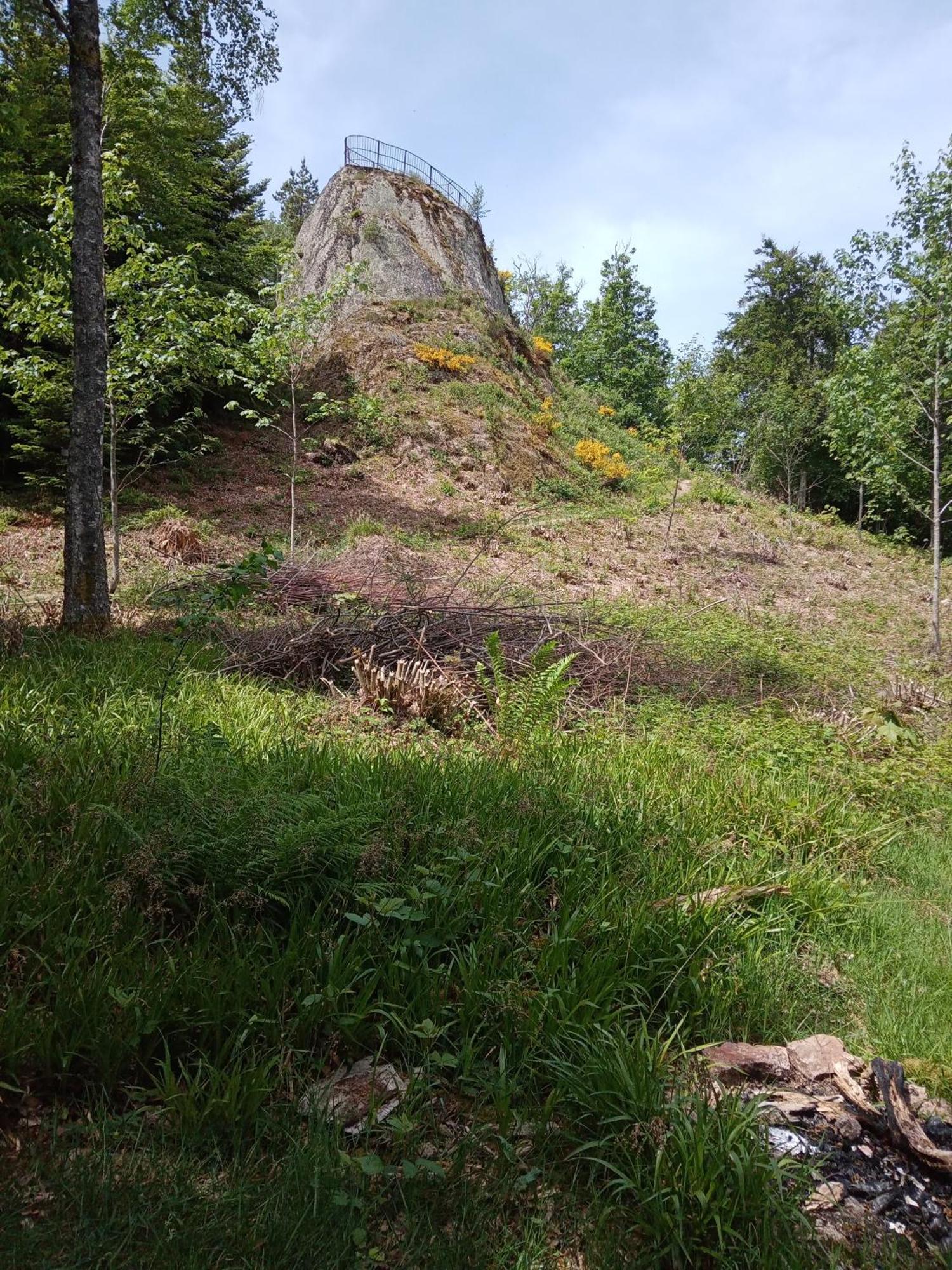 Urlaub Auf Dem Haenslehof Διαμέρισμα Elzach Εξωτερικό φωτογραφία