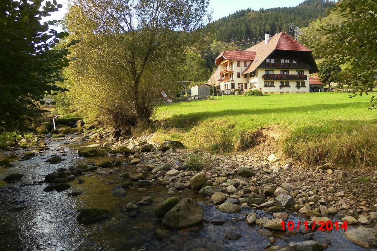 Urlaub Auf Dem Haenslehof Διαμέρισμα Elzach Εξωτερικό φωτογραφία