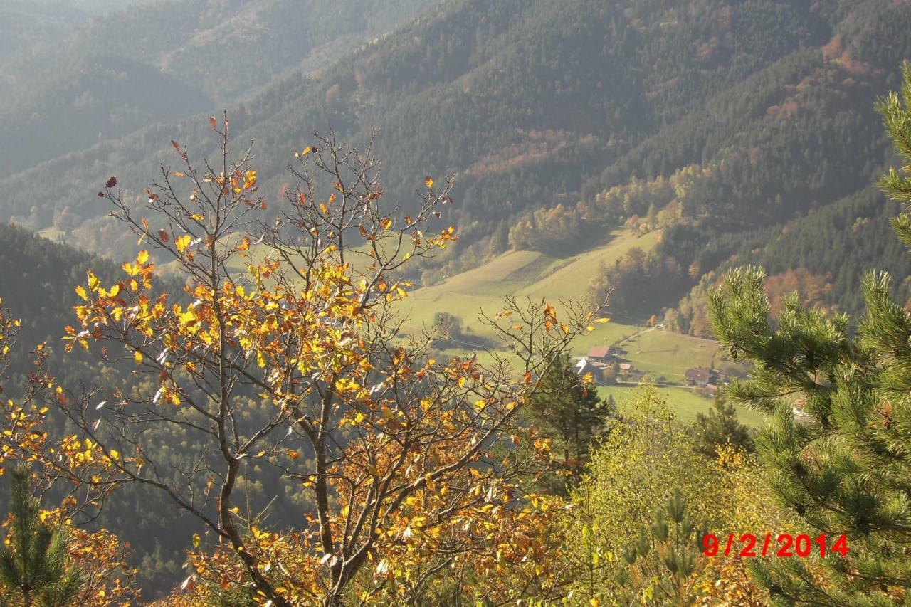 Urlaub Auf Dem Haenslehof Διαμέρισμα Elzach Εξωτερικό φωτογραφία